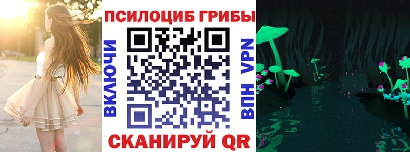 Псилоцибиновые грибы MAGIC MUSHROOMS  купить наркоту  Нестеровская 